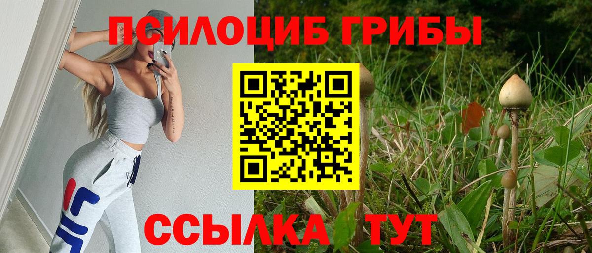 Обнинск  Псилоцибиновые грибы мицелий  Вход с VPN 