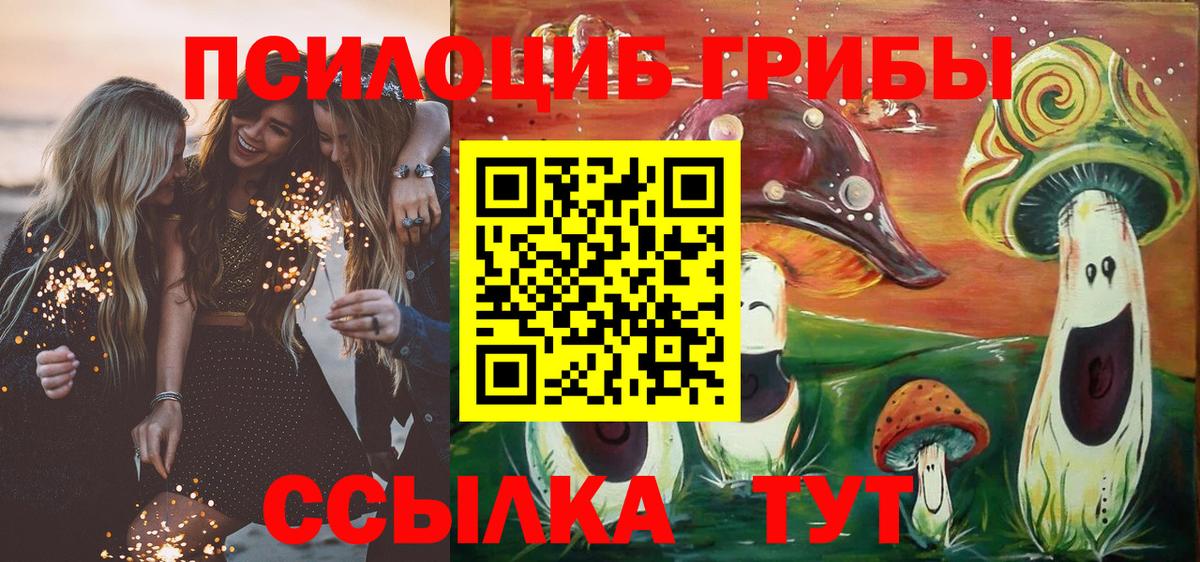 Псилоцибиновые грибы MAGIC MUSHROOMS Обнинск