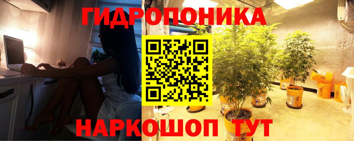 Бошки марихуана гибрид Обнинск